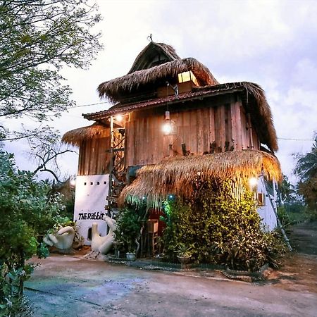 The Rabbit Tree Hostel Gili Meno Ngoại thất bức ảnh